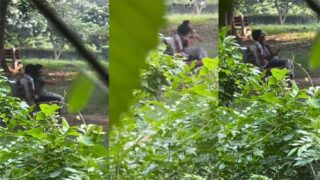Delhi Teen Couple In Park Viral Xx Video – Videos Porn